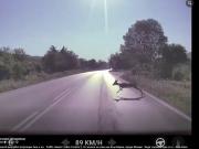 Вижте реакцията на Tesla Model Y при среща със сърна на пътя София – Варна (Видео)