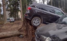 Вижте последиците от урагана в Боровец
