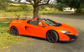 Магаре объркало McLaren 650S Spider за гигантски морков. Нанесло щети за 6000 долара