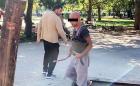 Редят паветата по бул. “Цар Борис III” в София с пясък от детската площадка