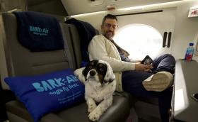 Bark Air е първата авиокомпания, която предлага бизнес класа за кучета