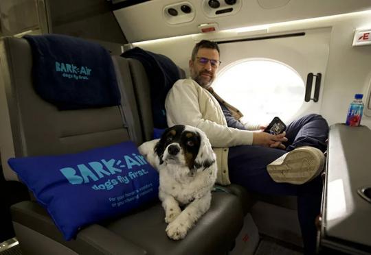Bark Air е първата авиокомпания, която предлага бизнес класа за кучета