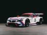 2015 BMW Z4 GTLM IMSA ‘BMW NA 40th Anniversary’ Livery #25