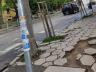 Шест снимки с обичайни гледки от тротоарите в София