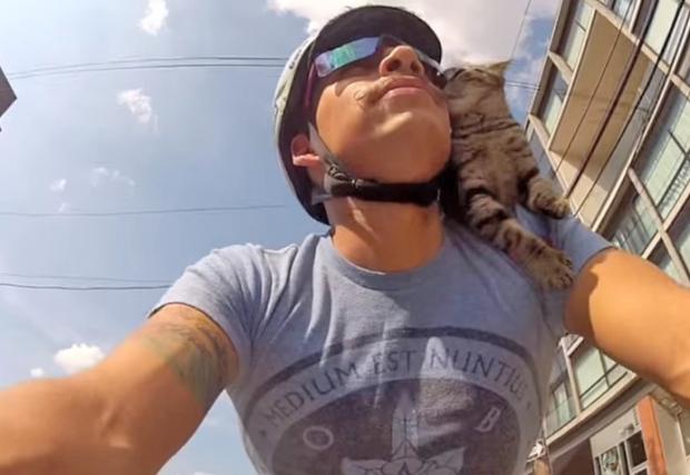 Котка-велосипедист по улиците на Филаделфия. Симпатично видео